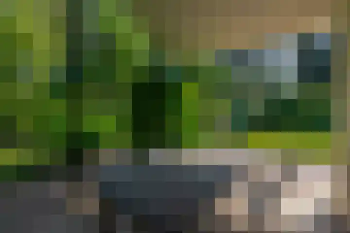van Oldenbarneveltlaan 14 Eindhoven thumbnail 44