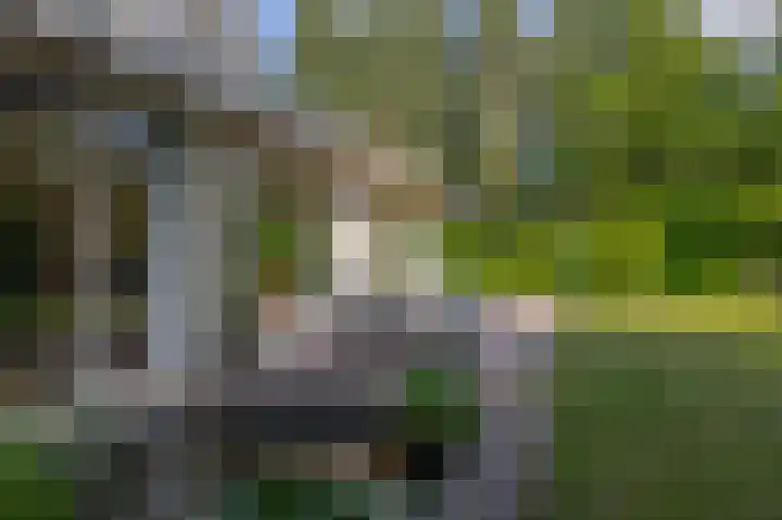 van Oldenbarneveltlaan 14 Eindhoven thumbnail 47