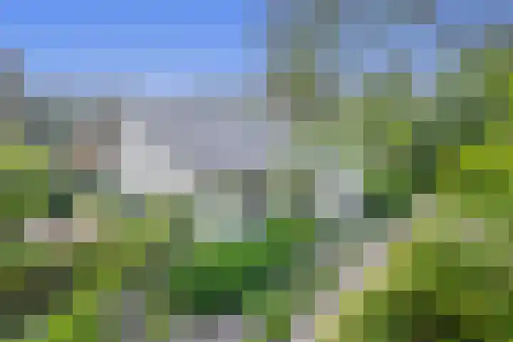 van Oldenbarneveltlaan 14 Eindhoven thumbnail 5