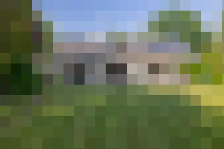 van Oldenbarneveltlaan 14 Eindhoven thumbnail 51