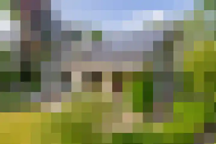 van Oldenbarneveltlaan 14 Eindhoven thumbnail 52