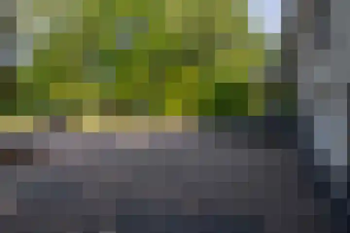 van Oldenbarneveltlaan 14 Eindhoven thumbnail 58