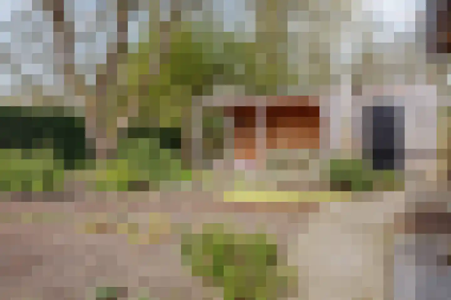 van Oldenbarneveltlaan 20 Eindhoven thumbnail 56