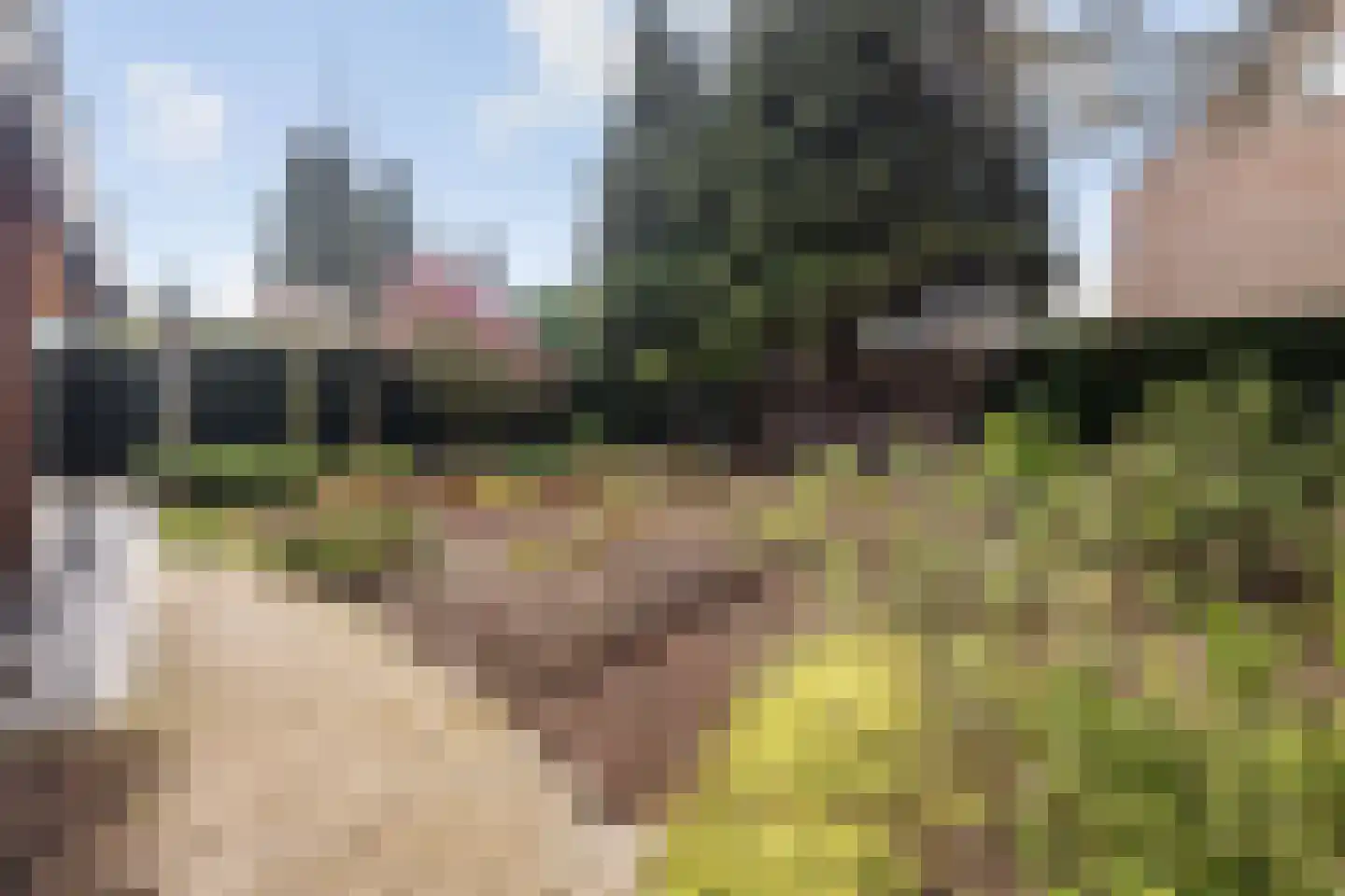 van Oldenbarneveltlaan 20 Eindhoven thumbnail 57