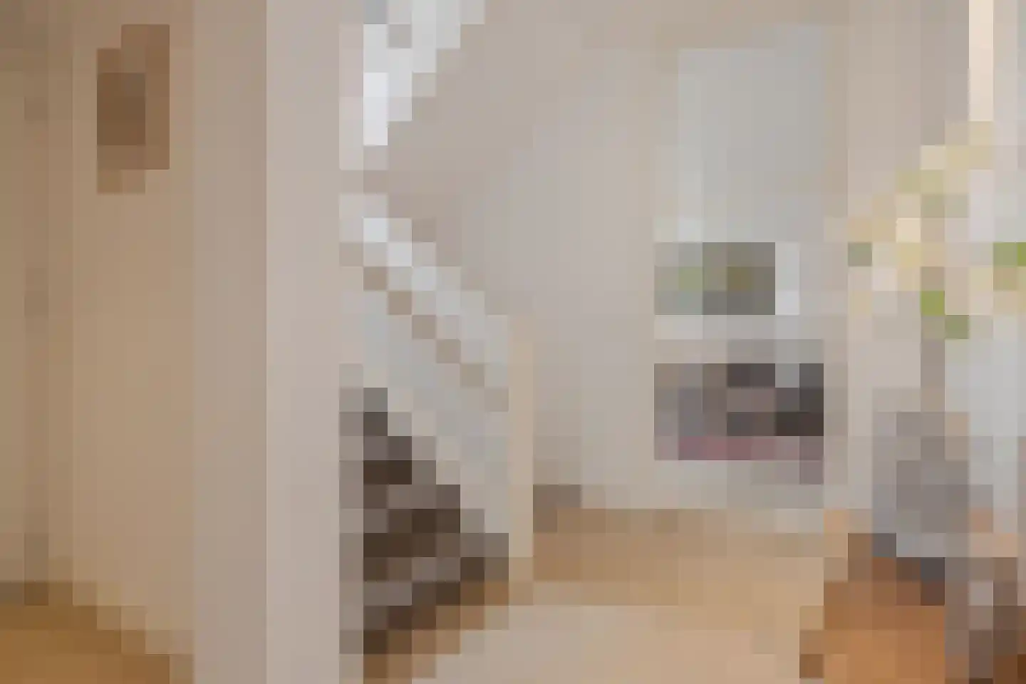 van Oldenbarneveltlaan 20 Eindhoven thumbnail 8