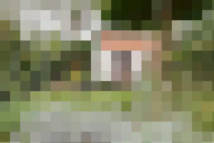 Van Oldenbarneveltlaan 31 Hilversum thumbnail 12