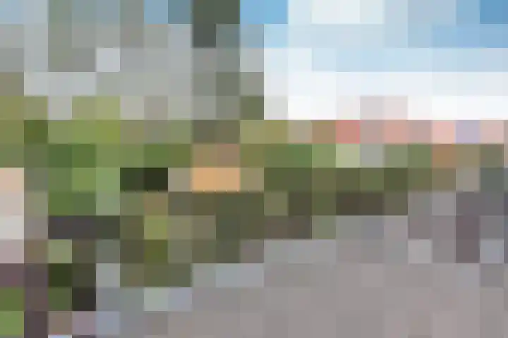 Van Oldenbarneveltlaan 31 Hilversum thumbnail 17