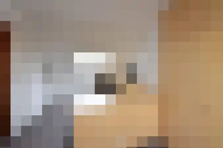 Van Oldenbarneveltlaan 31 Hilversum thumbnail 20