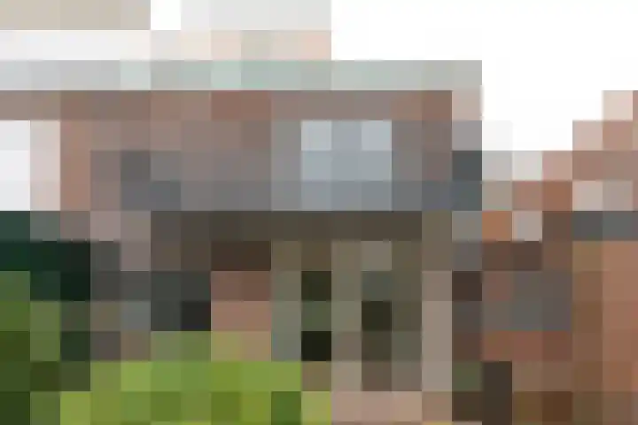 Van Oldenbarneveltlaan 35 Hilversum thumbnail 25
