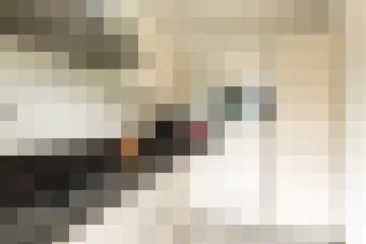 Van Oldenbarneveltlaan 35 Hilversum thumbnail 9