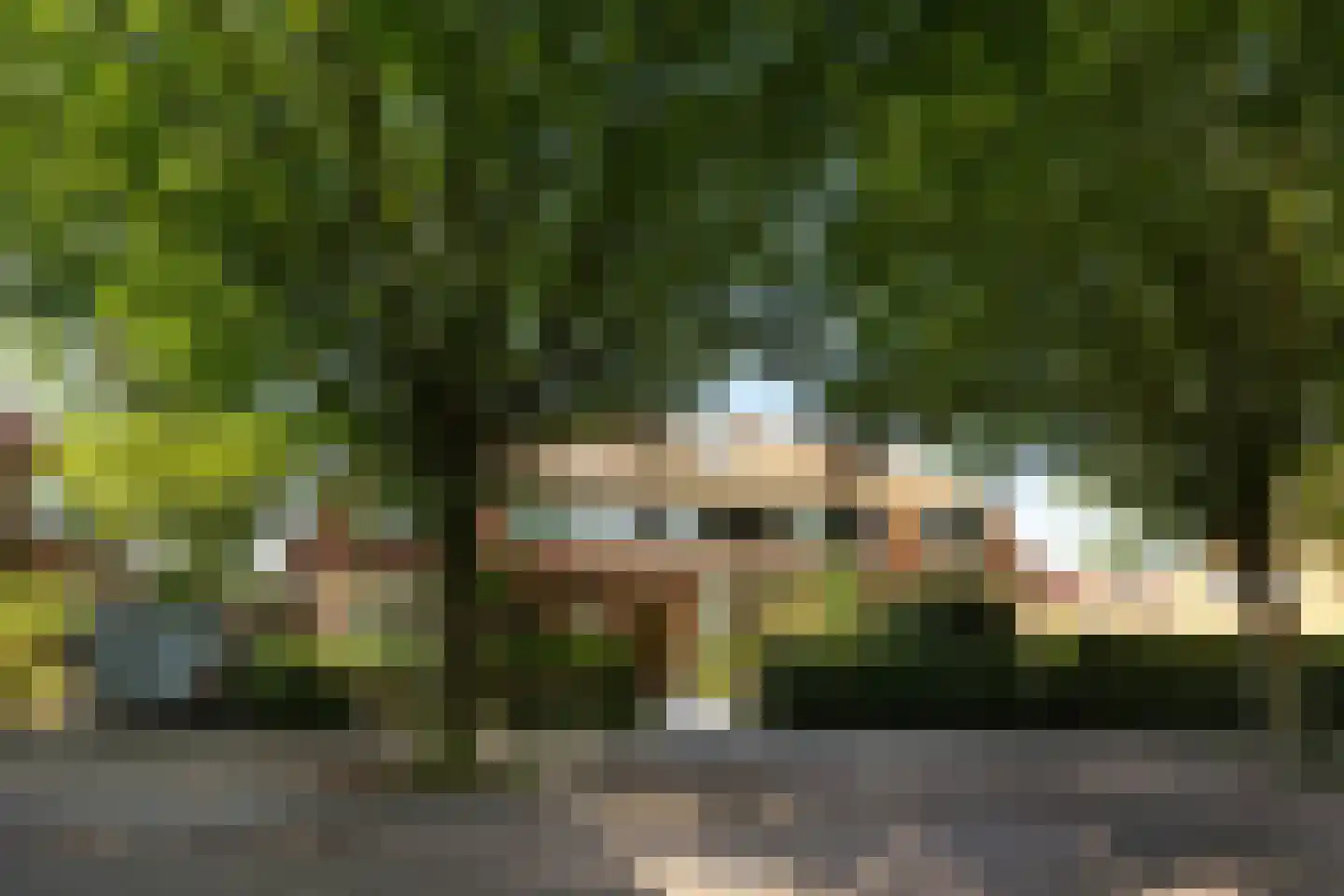 Van Oldenbarneveltlaan 47 Hilversum thumbnail 31