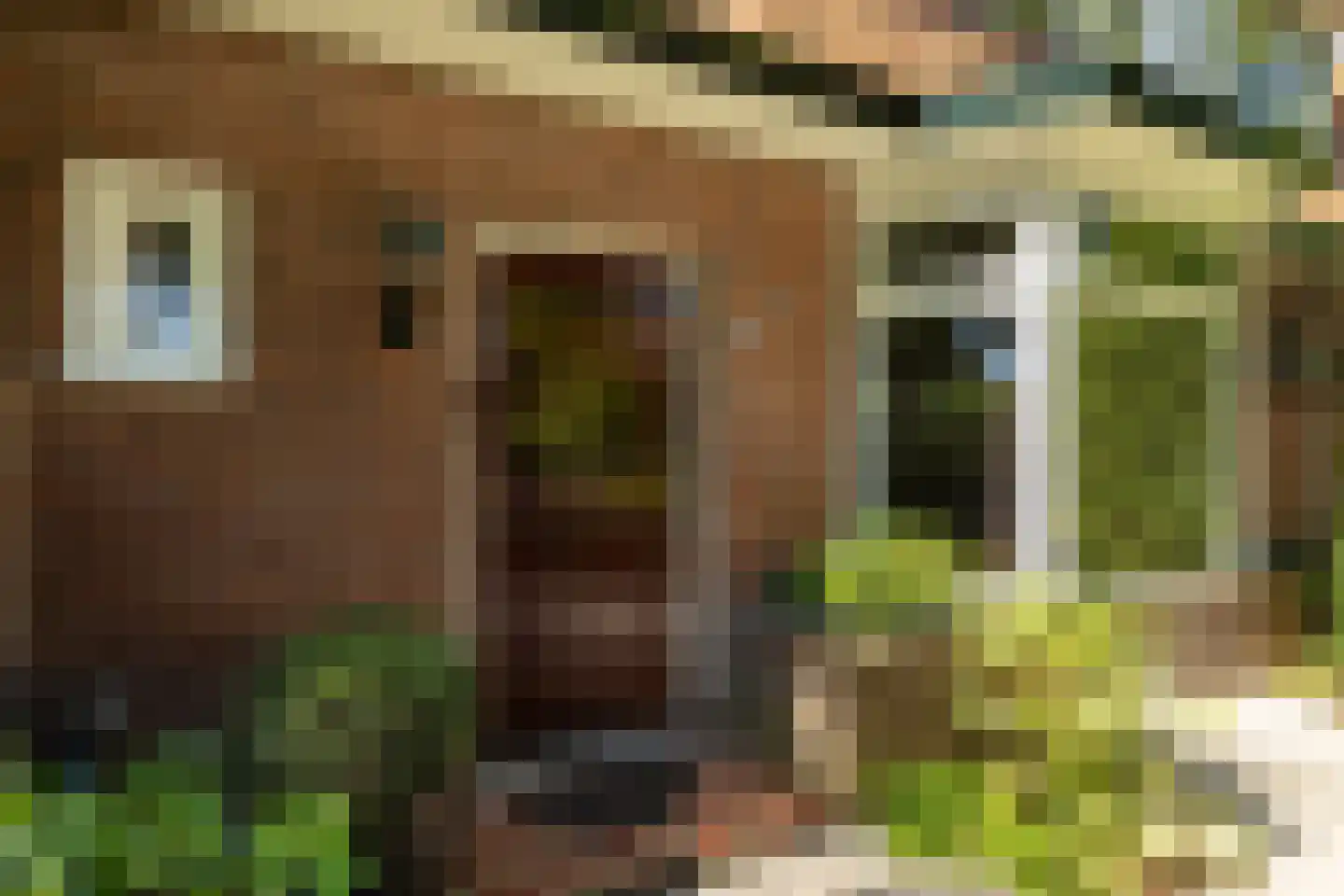Van Oldenbarneveltlaan 47 Hilversum thumbnail 32