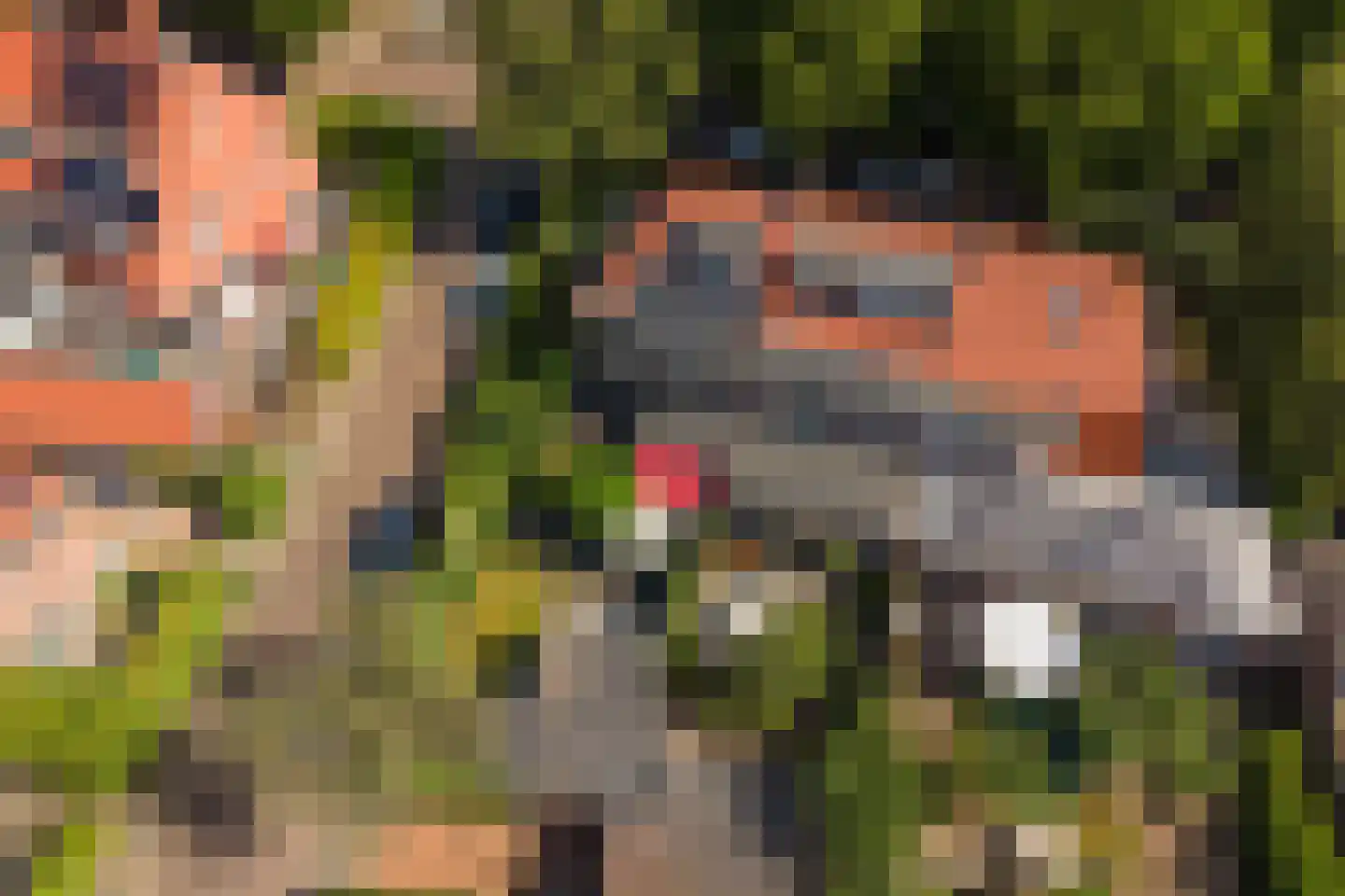 Van Oldenbarneveltlaan 47 Hilversum thumbnail 33