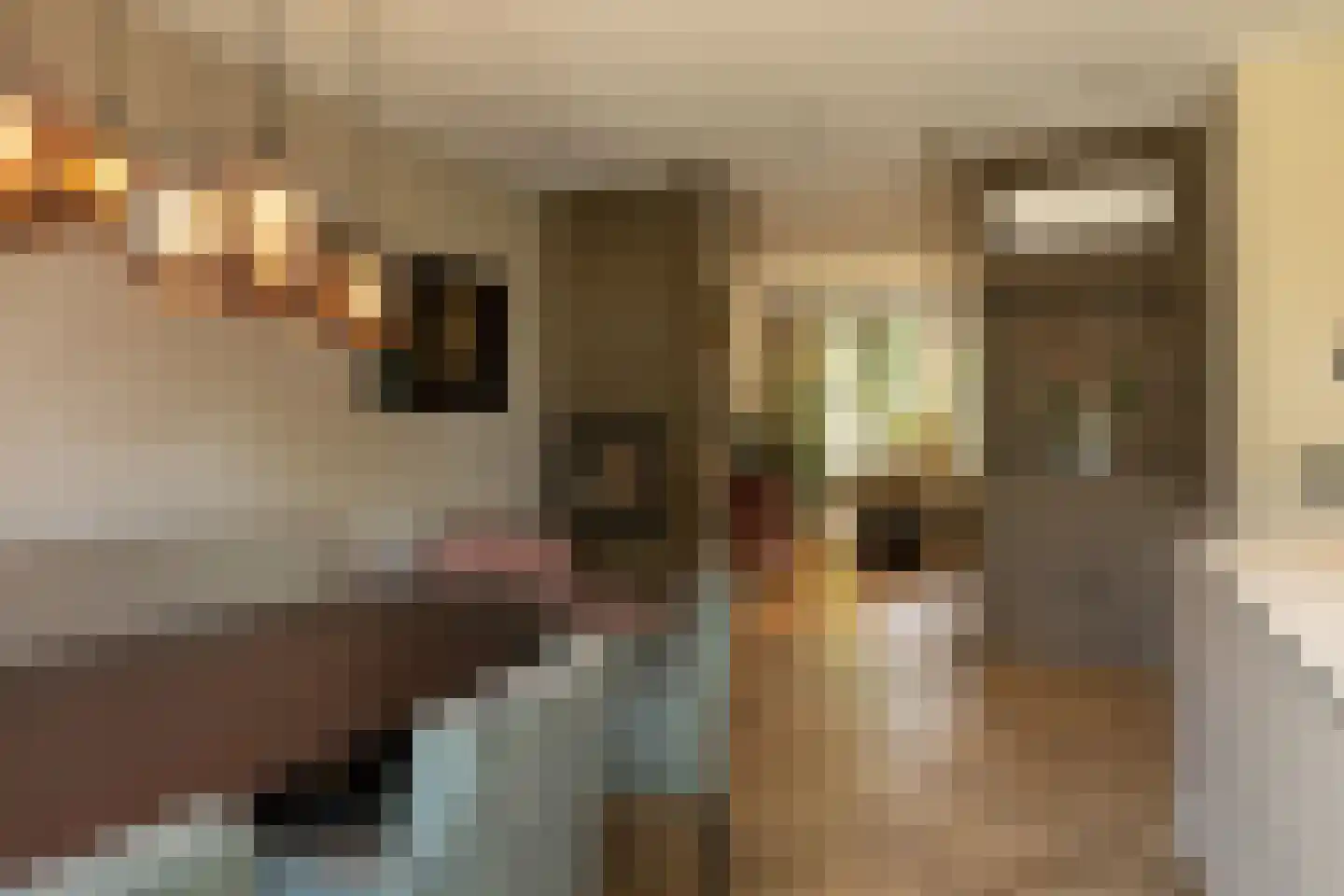 Van Oldenbarneveltlaan 47 Hilversum thumbnail 6