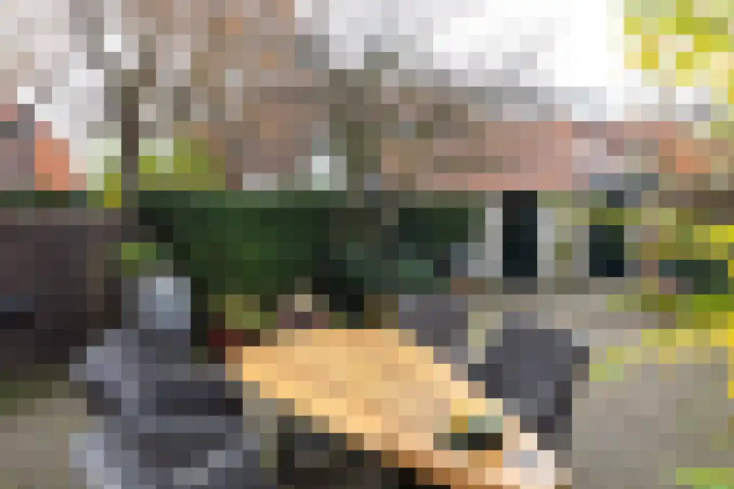 Van Oldenbarneveltlaan 5 Hilversum thumbnail 21