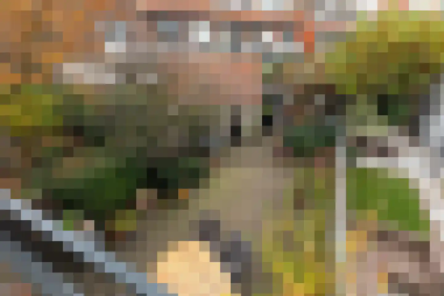 Van Oldenbarneveltlaan 5 Hilversum thumbnail 22