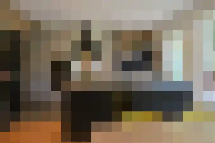 Van Oldenbarneveltlaan 50 Hilversum thumbnail 10
