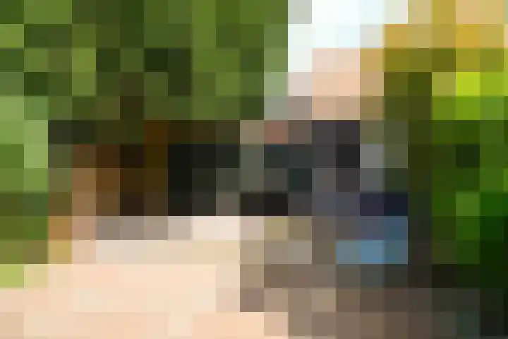 Van Oldenbarneveltlaan 50 Hilversum thumbnail 7