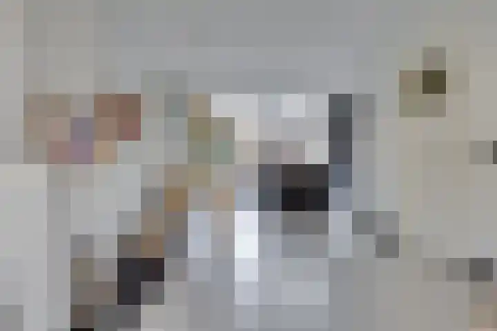 Van Oldenbarneveltlaan 70 Hilversum thumbnail 11