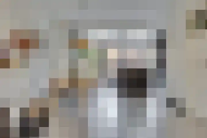 Van Oldenbarneveltlaan 70 Hilversum thumbnail 12