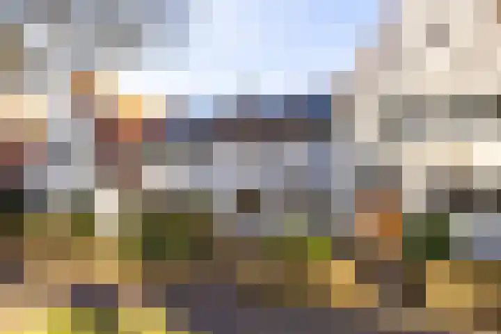 Van Oldenbarneveltlaan 70 Hilversum thumbnail 36