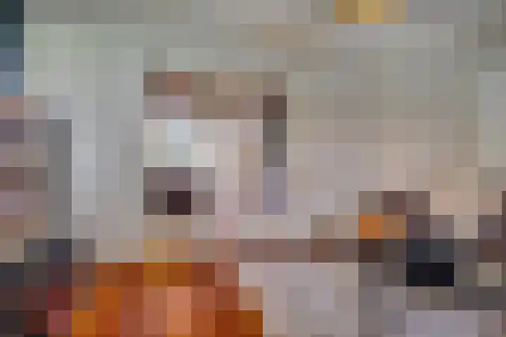 Van Oldenbarneveltlaan 8 Hilversum thumbnail 11