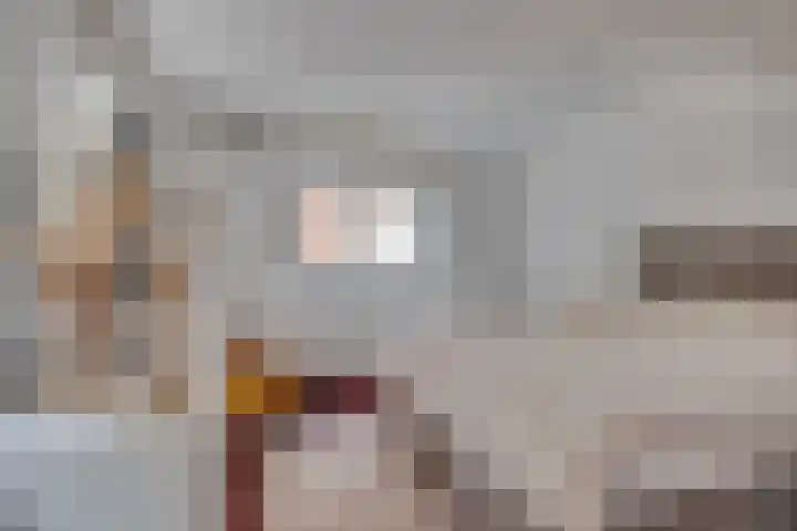 Van Oldenbarneveltlaan 8 Hilversum thumbnail 21