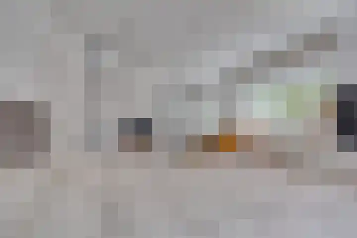 Van Oldenbarneveltlaan 8 Hilversum thumbnail 22