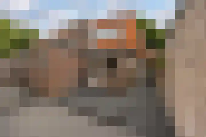 Van Oldenbarneveltlaan 8 Hilversum thumbnail 35