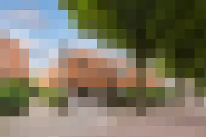 Van Oldenbarneveltlaan 8 Hilversum thumbnail 36