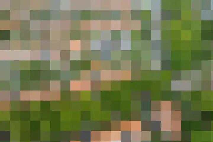Van Oldenbarneveltlaan 8 Hilversum thumbnail 37