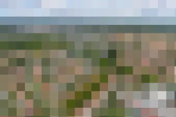 Van Oldenbarneveltlaan 8 Hilversum thumbnail 38