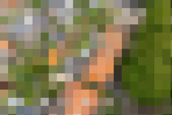 Van Oldenbarneveltlaan 8 Hilversum thumbnail 39