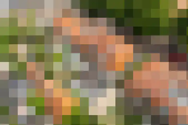 Van Oldenbarneveltlaan 8 Hilversum thumbnail 40