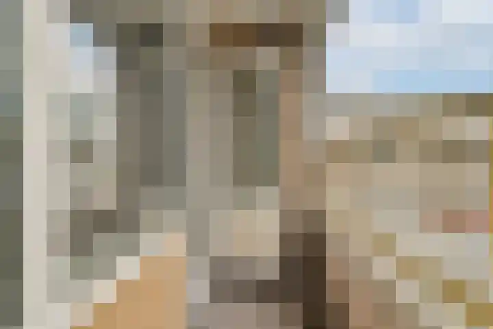 Van Oldenbarneveltplein 102 Dordrecht thumbnail 13