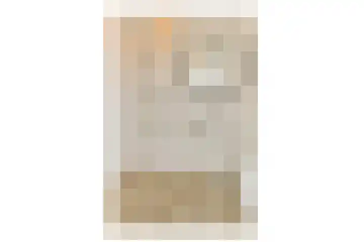 Van Oldenbarneveltplein 104 Dordrecht thumbnail 19