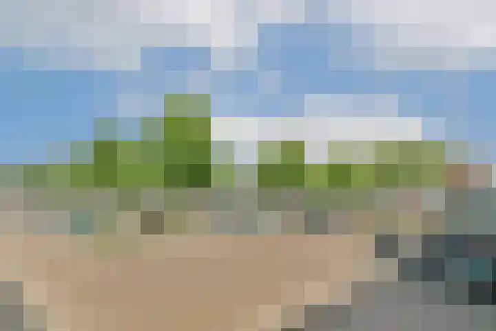 Van Oldenbarneveltplein 105 Dordrecht thumbnail 30
