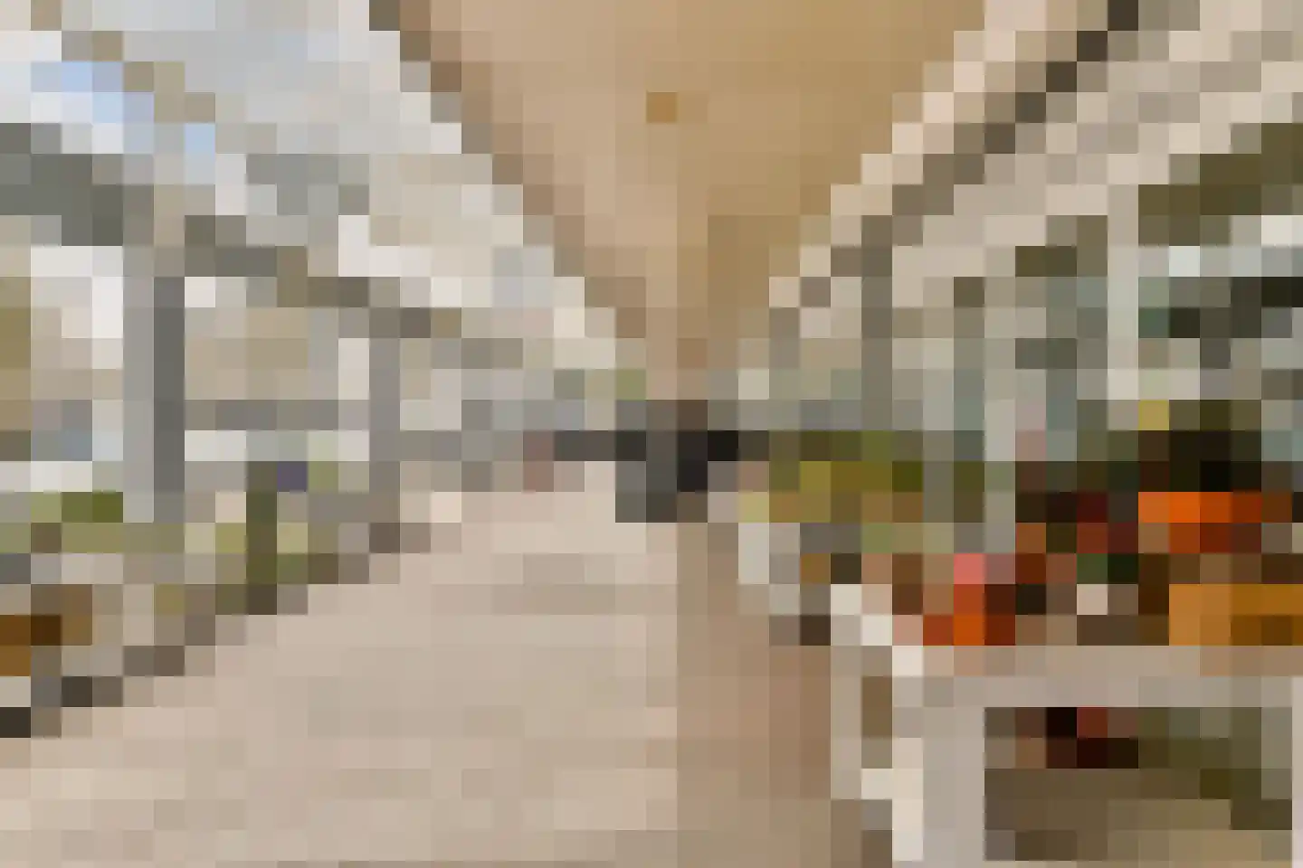 Van Oldenbarneveltplein 122 Dordrecht thumbnail 33