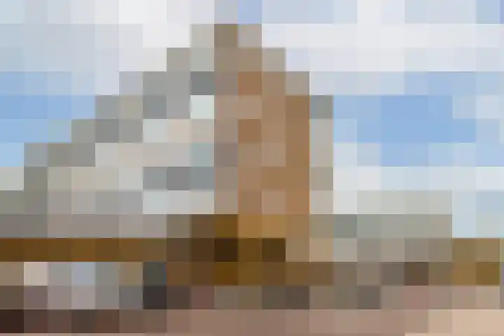 Van Oldenbarneveltplein 36 Dordrecht thumbnail 6