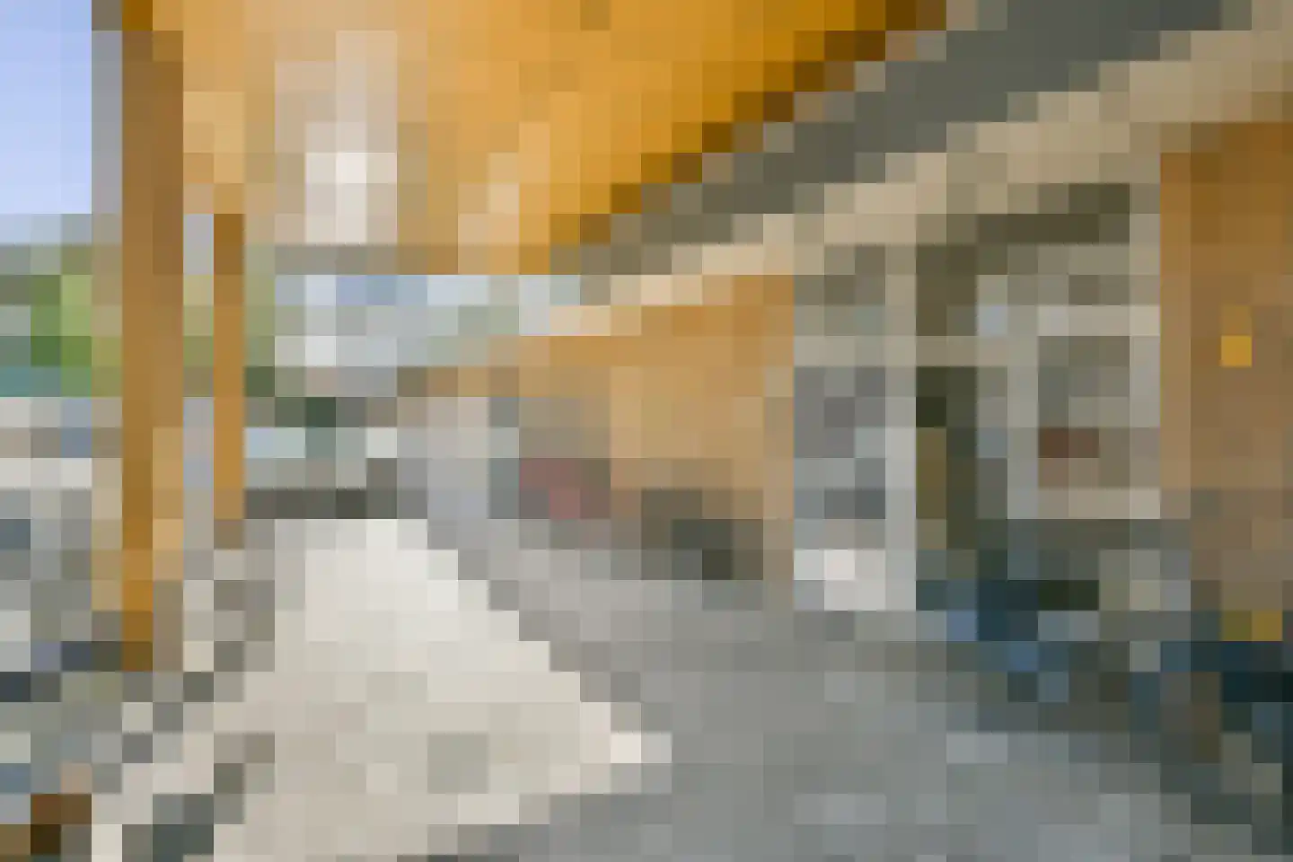 Van Oldenbarneveltplein 44 Dordrecht thumbnail 7