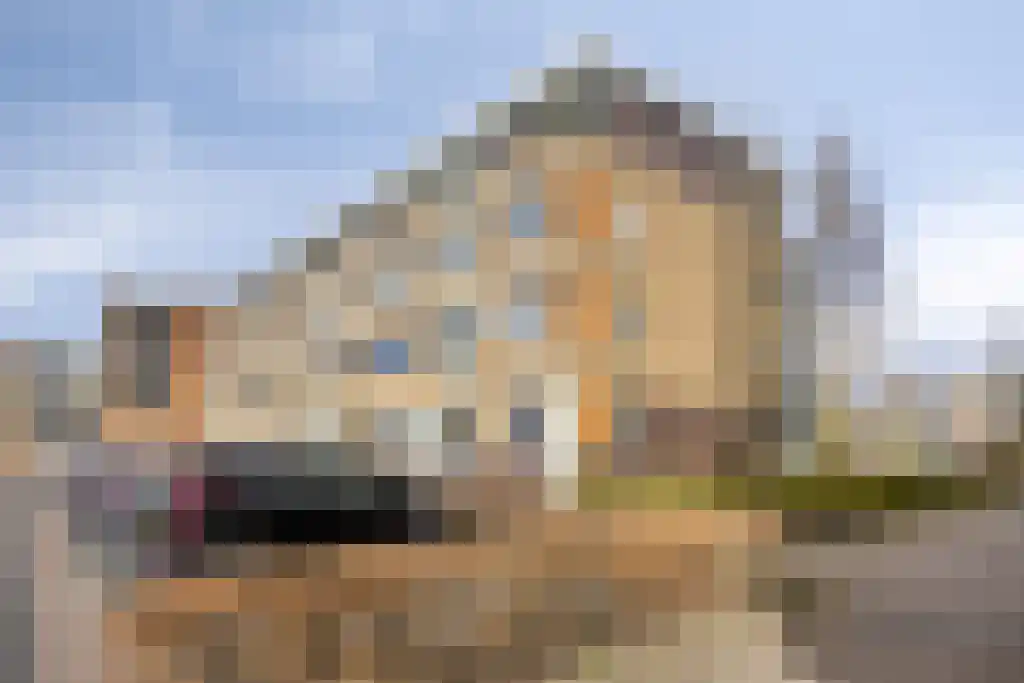 van Oldenbarneveltplein 8 Meppel thumbnail 36