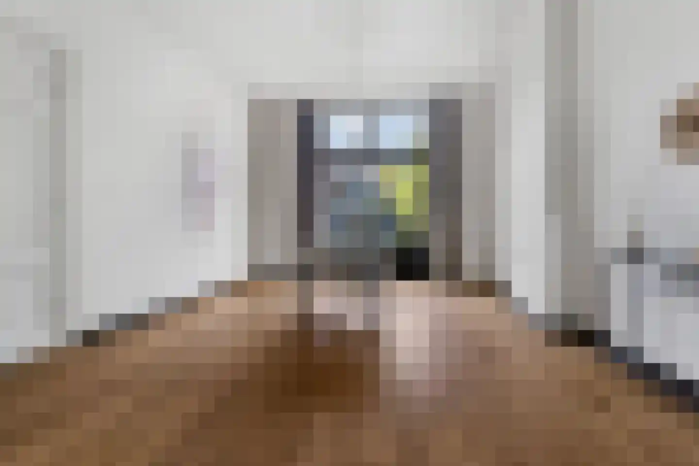 van Oldenbarneveltstraat 15 Nijmegen thumbnail 14