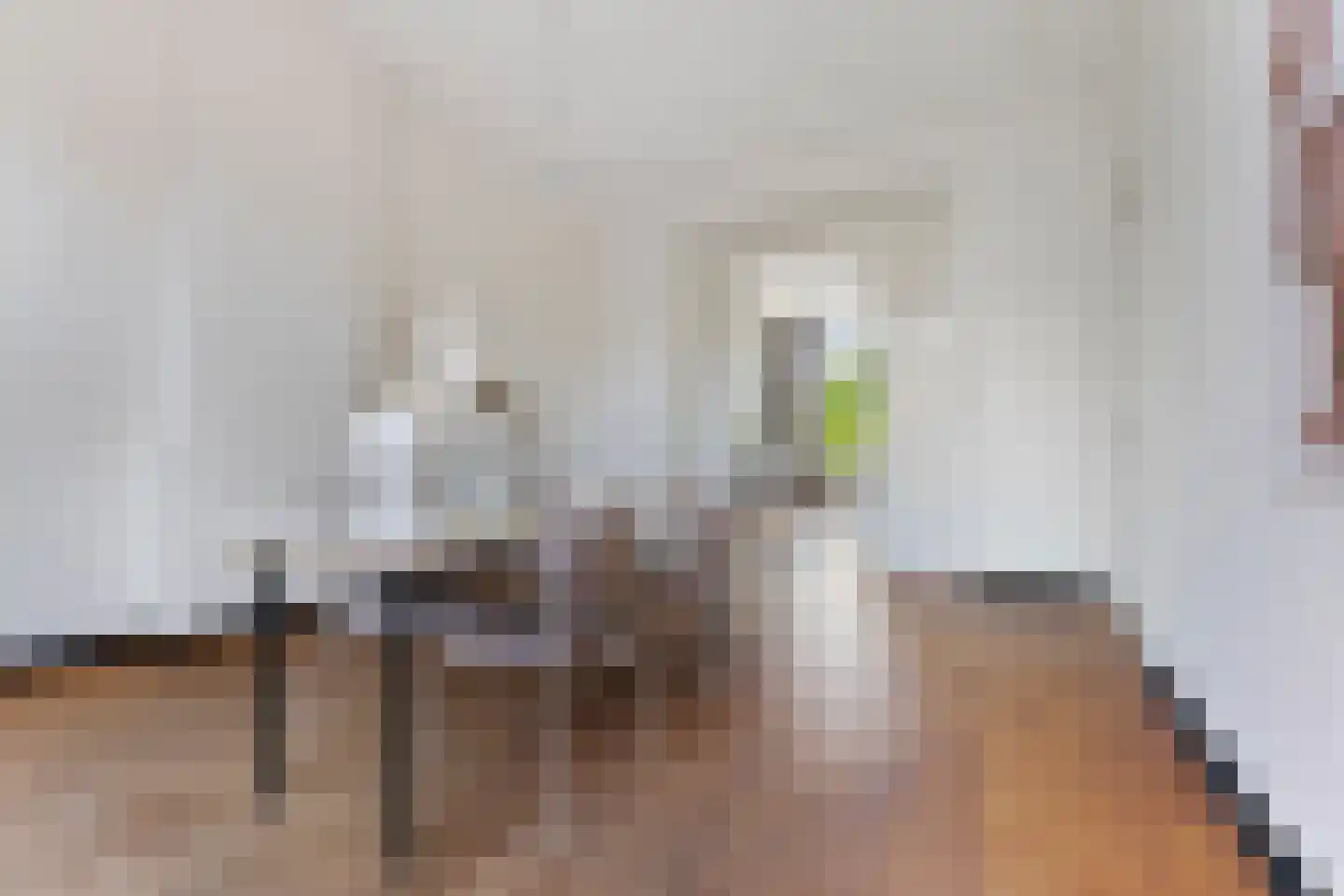 van Oldenbarneveltstraat 15 Nijmegen thumbnail 16