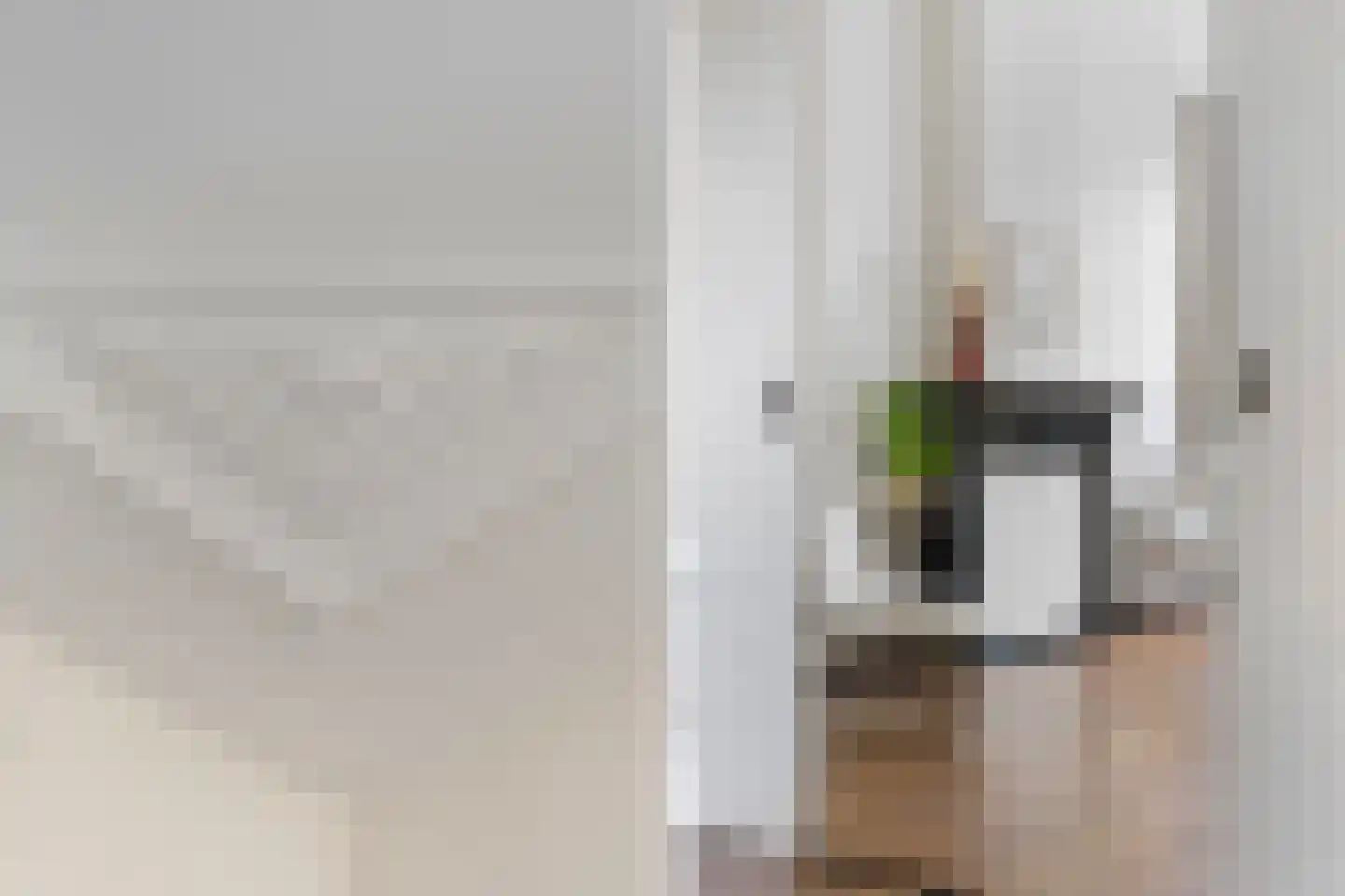 van Oldenbarneveltstraat 15 Nijmegen thumbnail 17