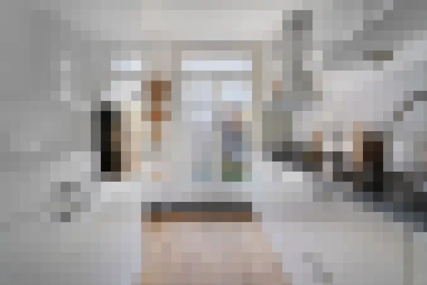 van Oldenbarneveltstraat 15 Nijmegen thumbnail 24