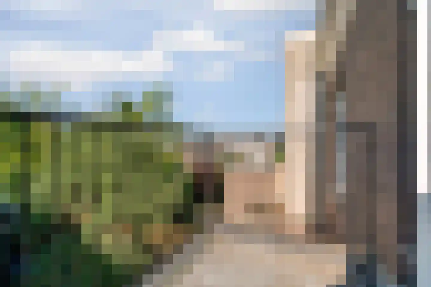 van Oldenbarneveltstraat 15 Nijmegen thumbnail 36