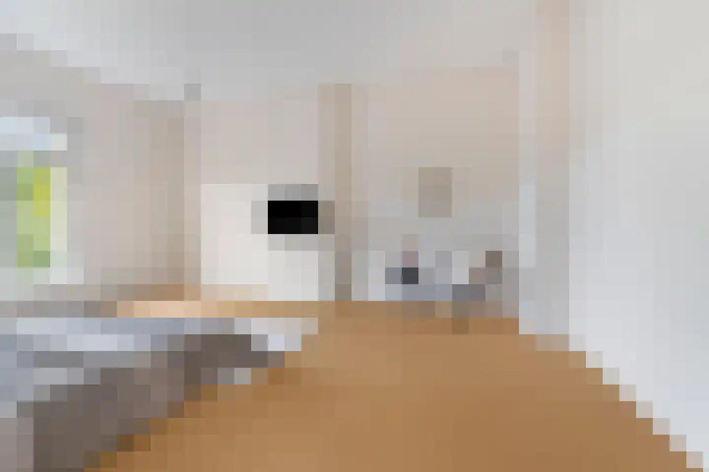van Oldenbarneveltstraat 15 Nijmegen thumbnail 37