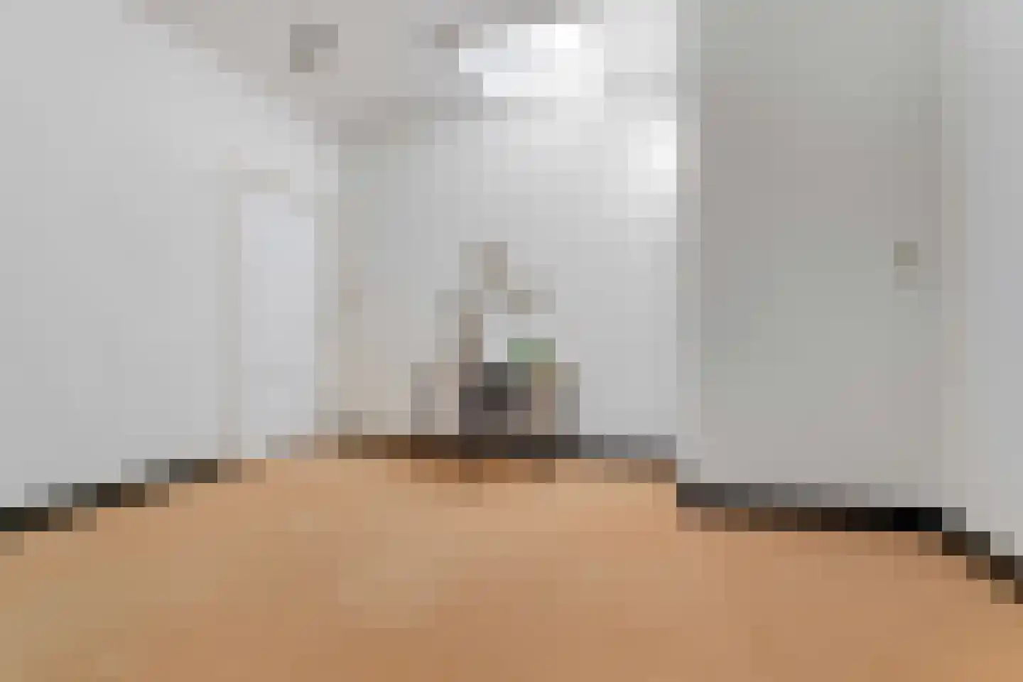 van Oldenbarneveltstraat 15 Nijmegen thumbnail 42