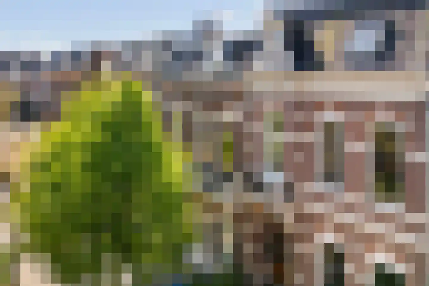 van Oldenbarneveltstraat 15 Nijmegen thumbnail 54