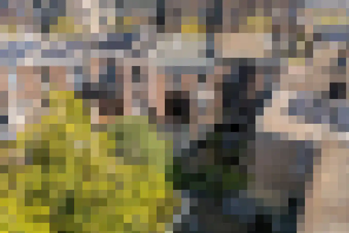 van Oldenbarneveltstraat 15 Nijmegen thumbnail 57